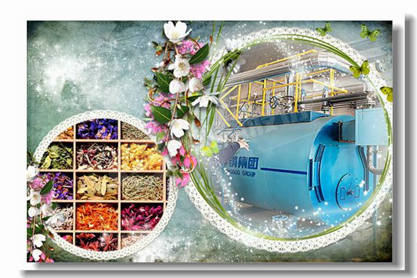 694 2吨容量卧式燃油蒸汽锅炉